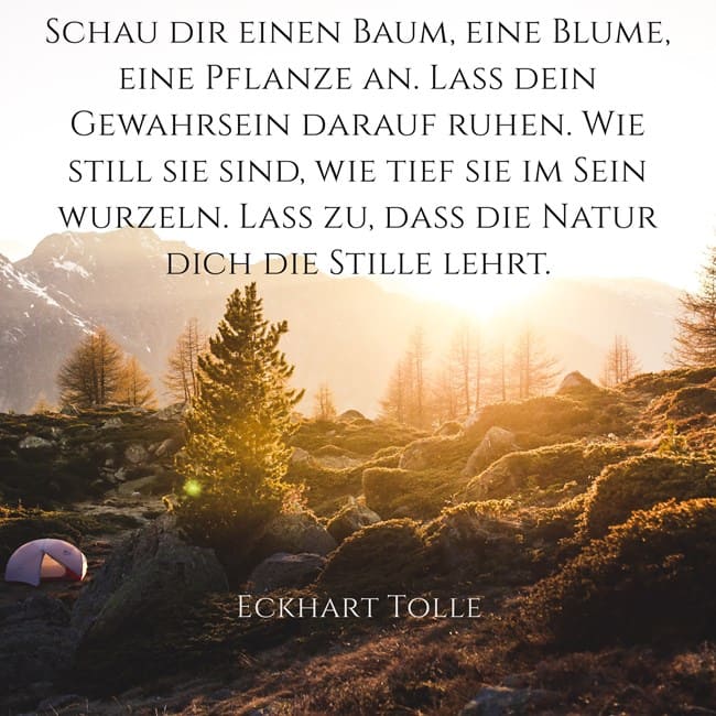 stille-natur stille-finden-in-der-natur